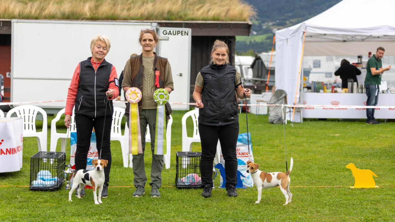 Bir og Bim Valp 4-6 mnd